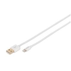 Apple charger/data cable - Imagen 1