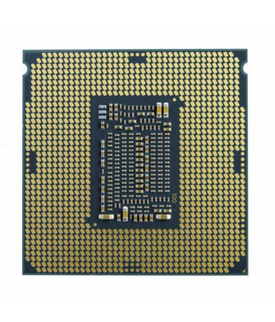 Intel celeron g5905 procesador 3,5 ghz caja 4 mb smart cache