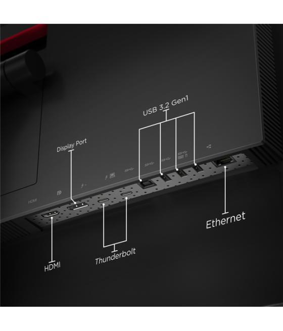 Lenovo ThinkVision P40w-20 100,8 cm (39.7") 5120 x 2160 Pixeles Negro