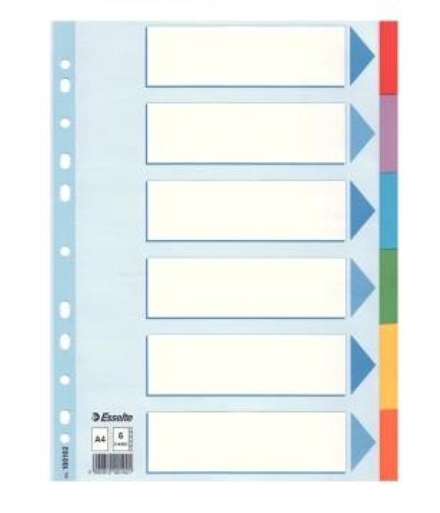 Esselte 10 separadores multitaladro cartón a4 con carátula índice colores