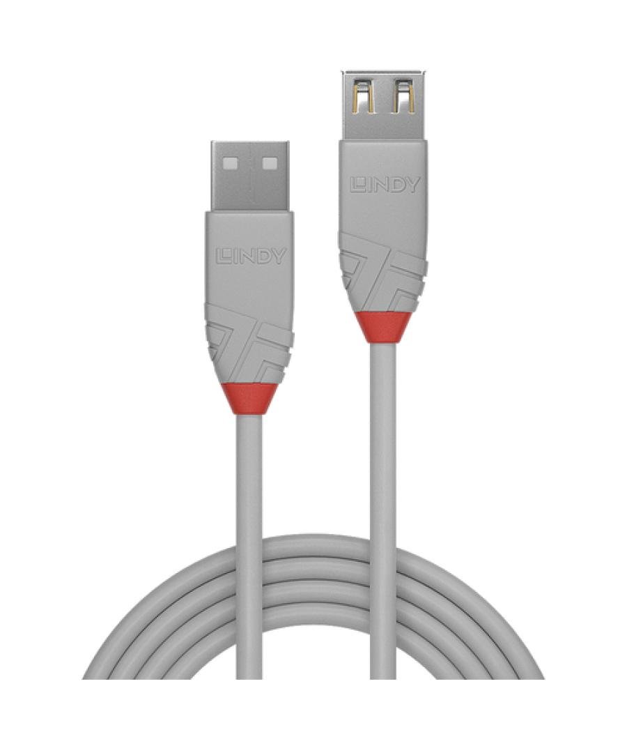 Lindy 36713 cable USB 2 m USB 2.0 USB A Gris