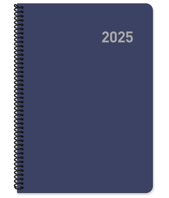 Agenda 2025 paris dia/pagina 15x21 col.surtidos espiral castellano ingraf 355425