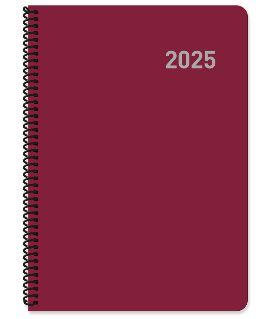 Agenda 2025 paris dia/pagina 15x21 col.surtidos espiral castellano ingraf 355425