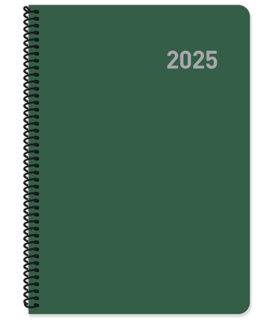 Agenda 2025 paris dia/pagina 15x21 col.surtidos espiral castellano ingraf 355425