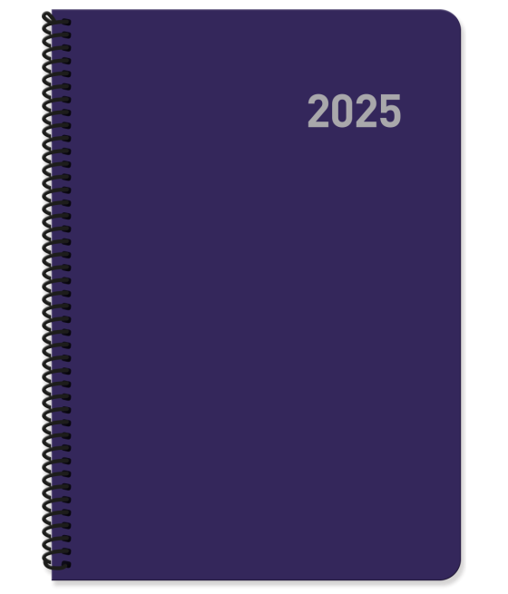 Agenda 2025 paris dia/pagina 15x21 col.surtidos espiral castellano ingraf 355425