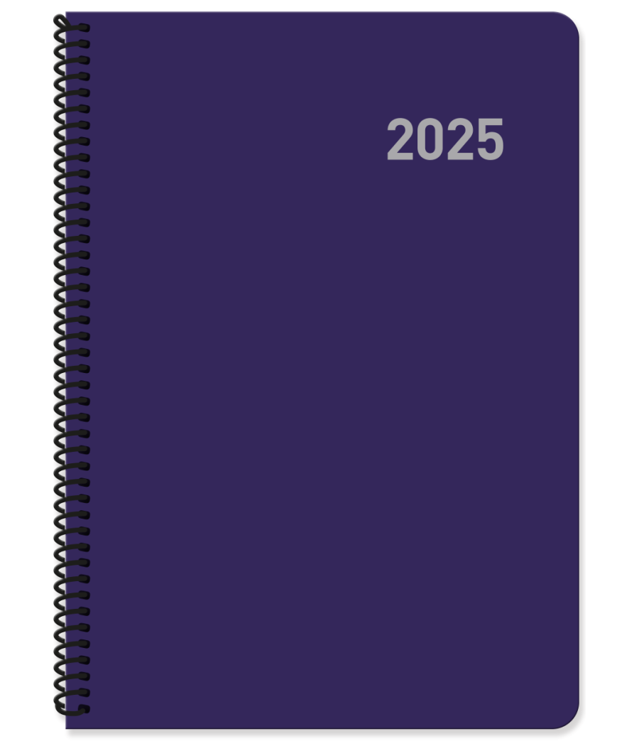 Agenda 2025 paris dia/pagina 15x21 col.surtidos espiral castellano ingraf 355425