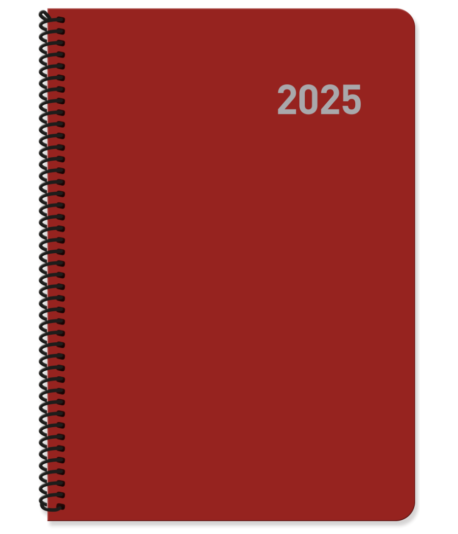 Agenda 2025 paris dia/pagina 15x21 col.surtidos espiral castellano ingraf 355425