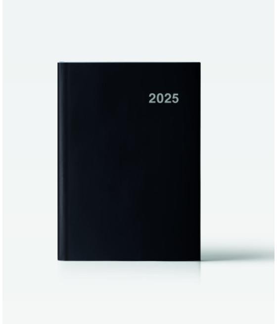 Agenda 2025 paris dia/pagina 15x21 negra ingraf castellano ingraf 355400