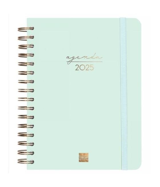 Finocam agenda anual alma espiral e10-155x212mm 1dp menta 2025