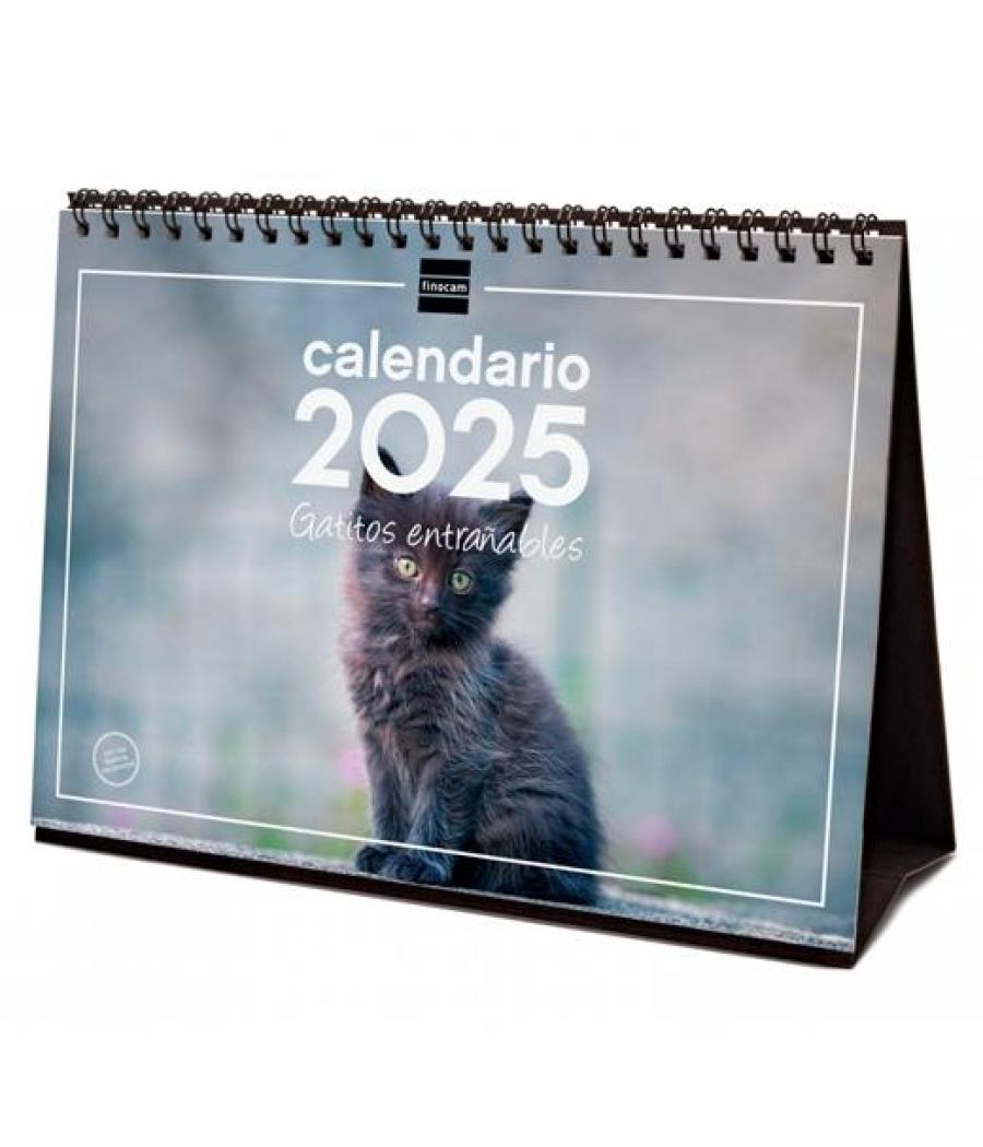 Finocam calendario de sobremesa para escribir s-210x150mm imágenes gatitos 2025