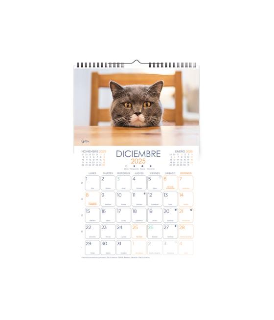 Calendario espiral pared liderpapel imágenes gatos 2025 para escribir 25x40 cm papel 157 gr