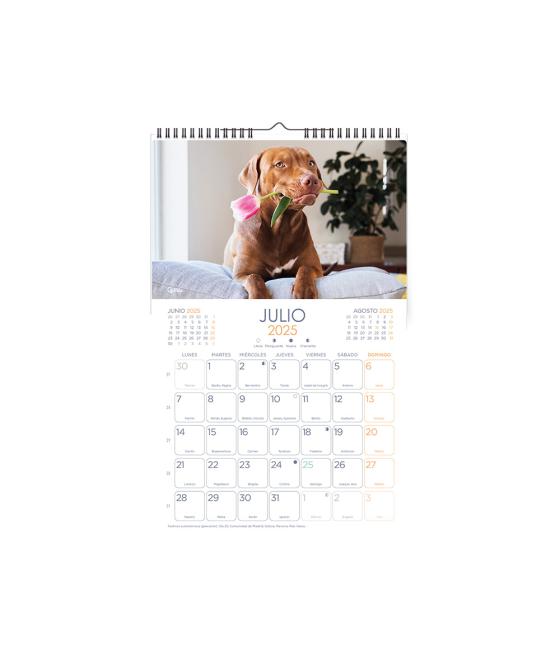 Calendario espiral pared liderpapel imágenes perros 2025 para escribir 25x40 cm papel 157 gr