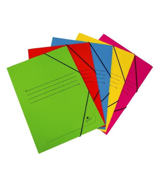 Mariola carpeta cartón 500 gr solapa gomas folio mate 5 colores surtidos -20u-