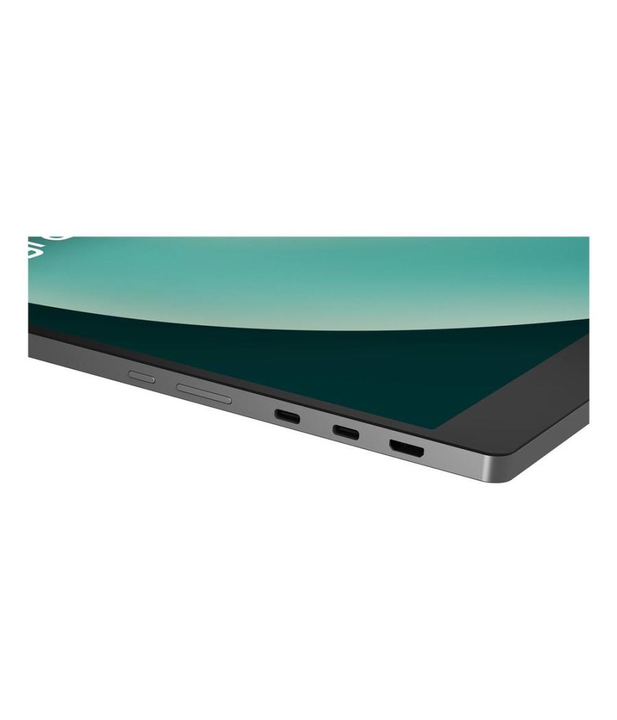 Monitor lg 17mt70 17 pulgadas wqxga