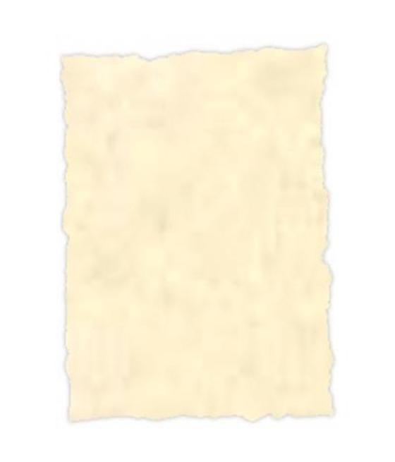 Michel pergamino troquelado 150gr a4 pack 25u topacio