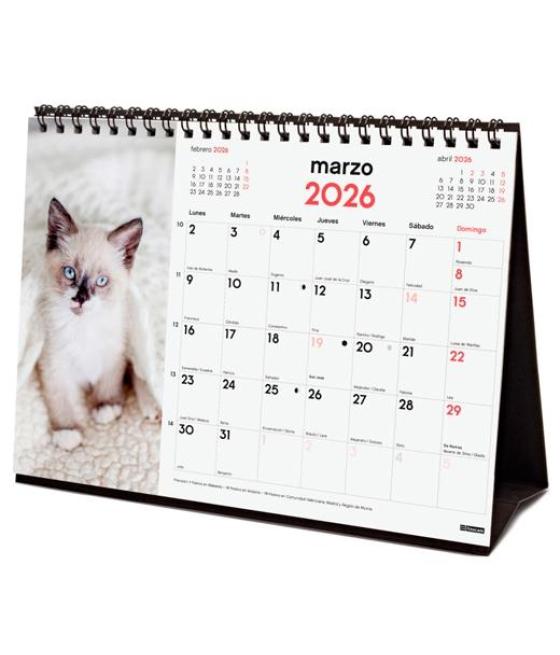 Finocam calendario de sobremesa para escribir s-210x150mm mv imágenes gatitos 2026