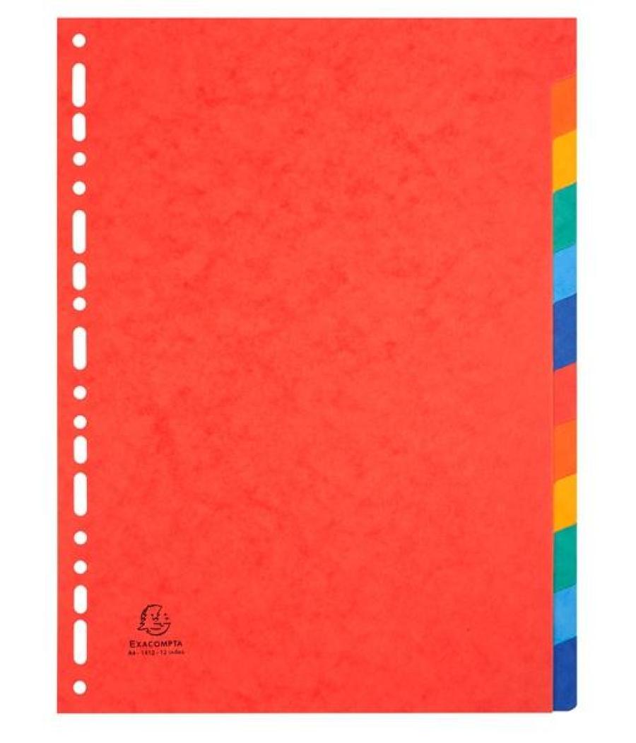 Exacompta separadores nature future cartulina lustrada 225gr 12 posiciones a4 colores