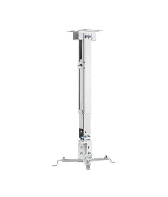 Aisens soporte universar inclinable y extensible de techo/pared para proyector blanco