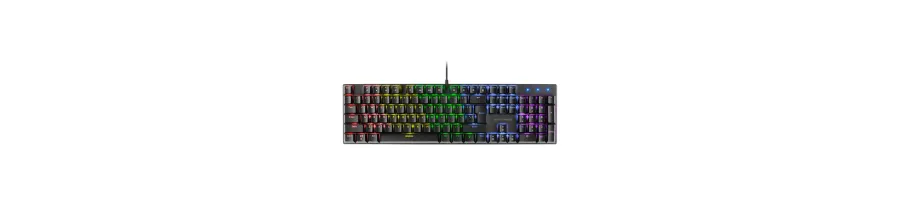 Teclados